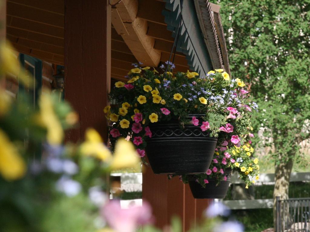 Ouray Inn エクステリア 写真